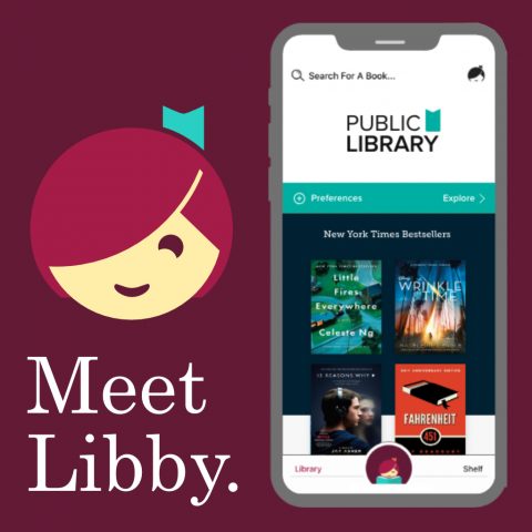 free libraries on libby